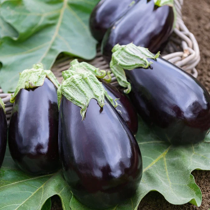 Vorschaubild 2