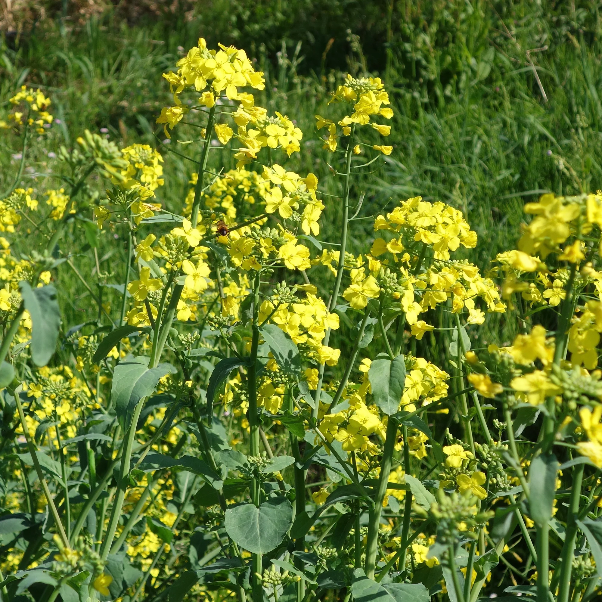 Vorschaubild 2