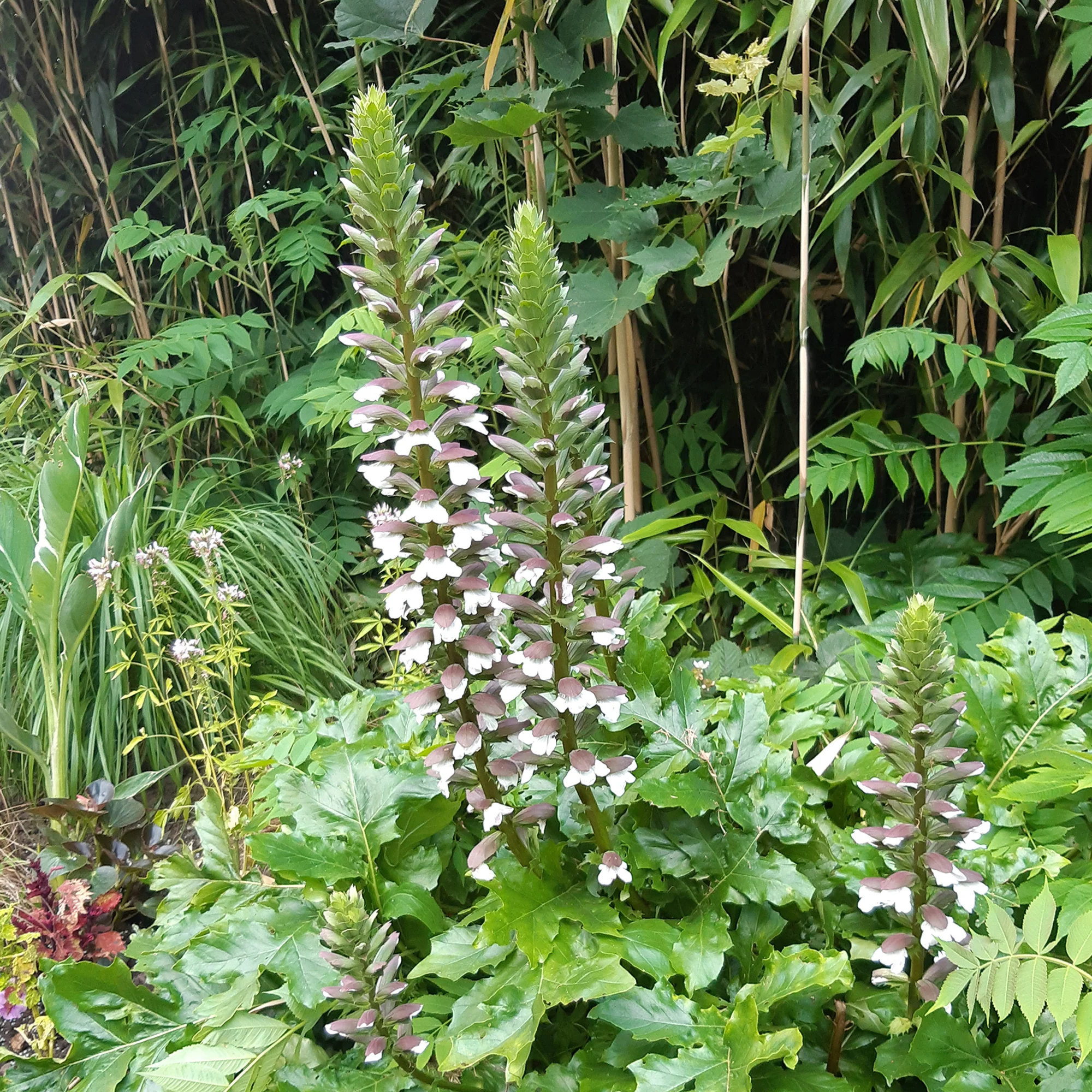 Vorschaubild 1