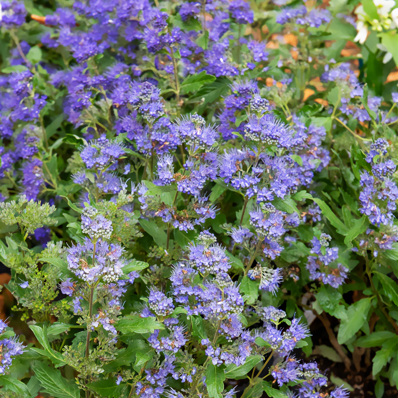 Produktbild 4