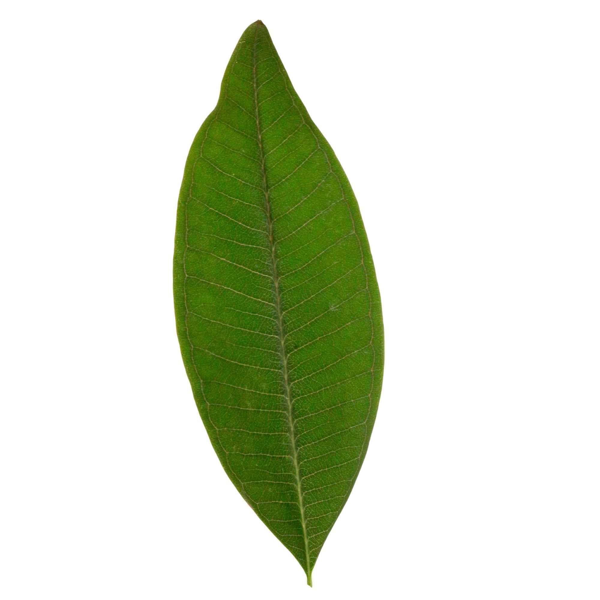 Produktbild 4