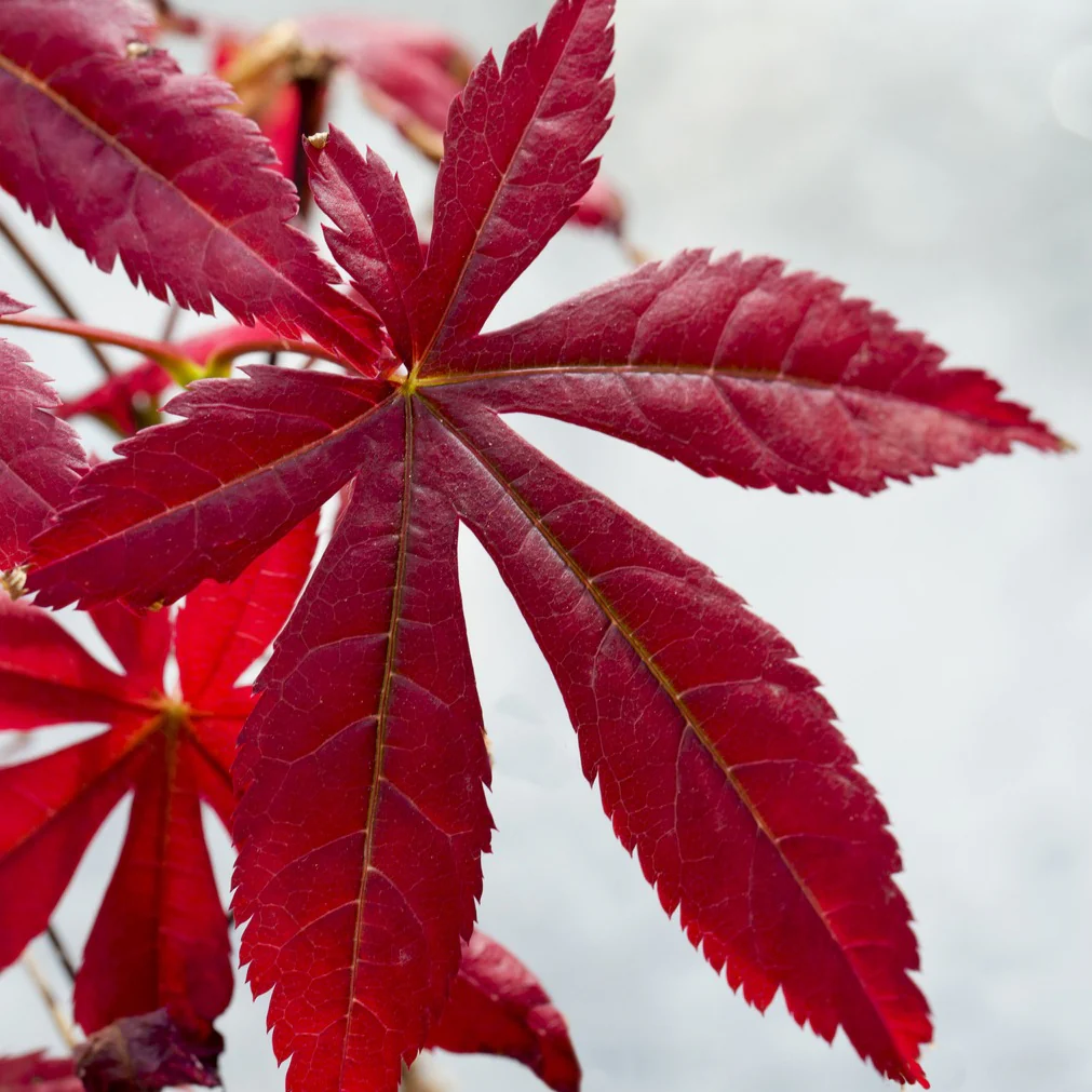 Produktbild 5