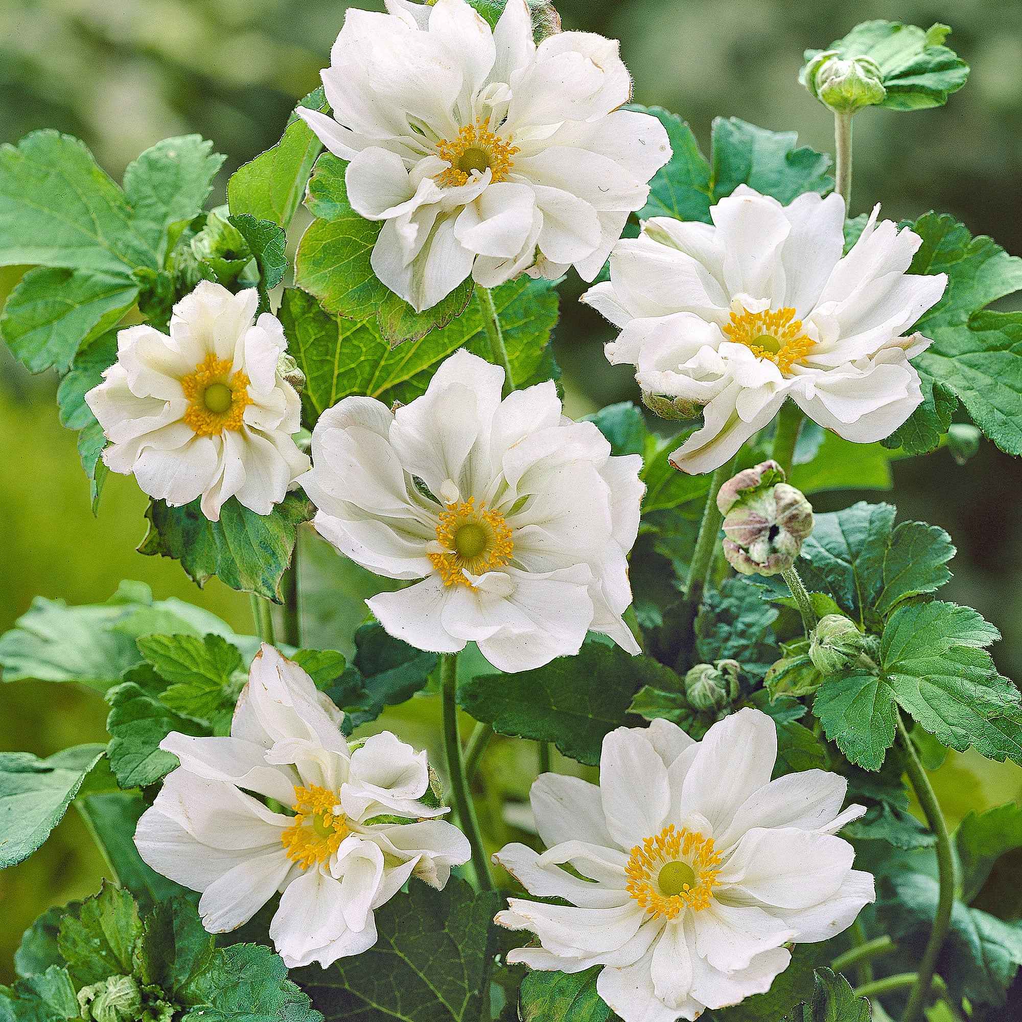 Produktbild 4