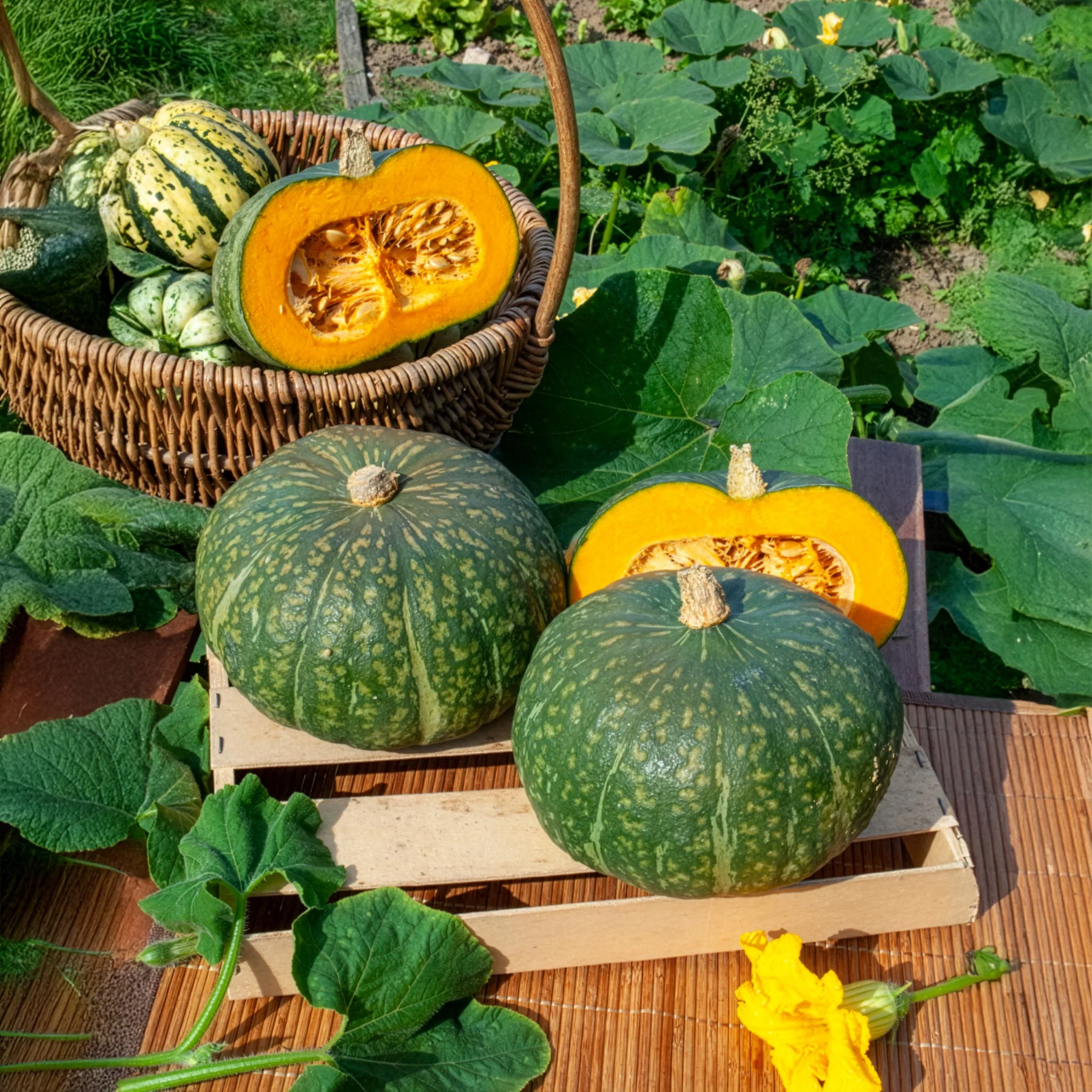 Vorschaubild 2