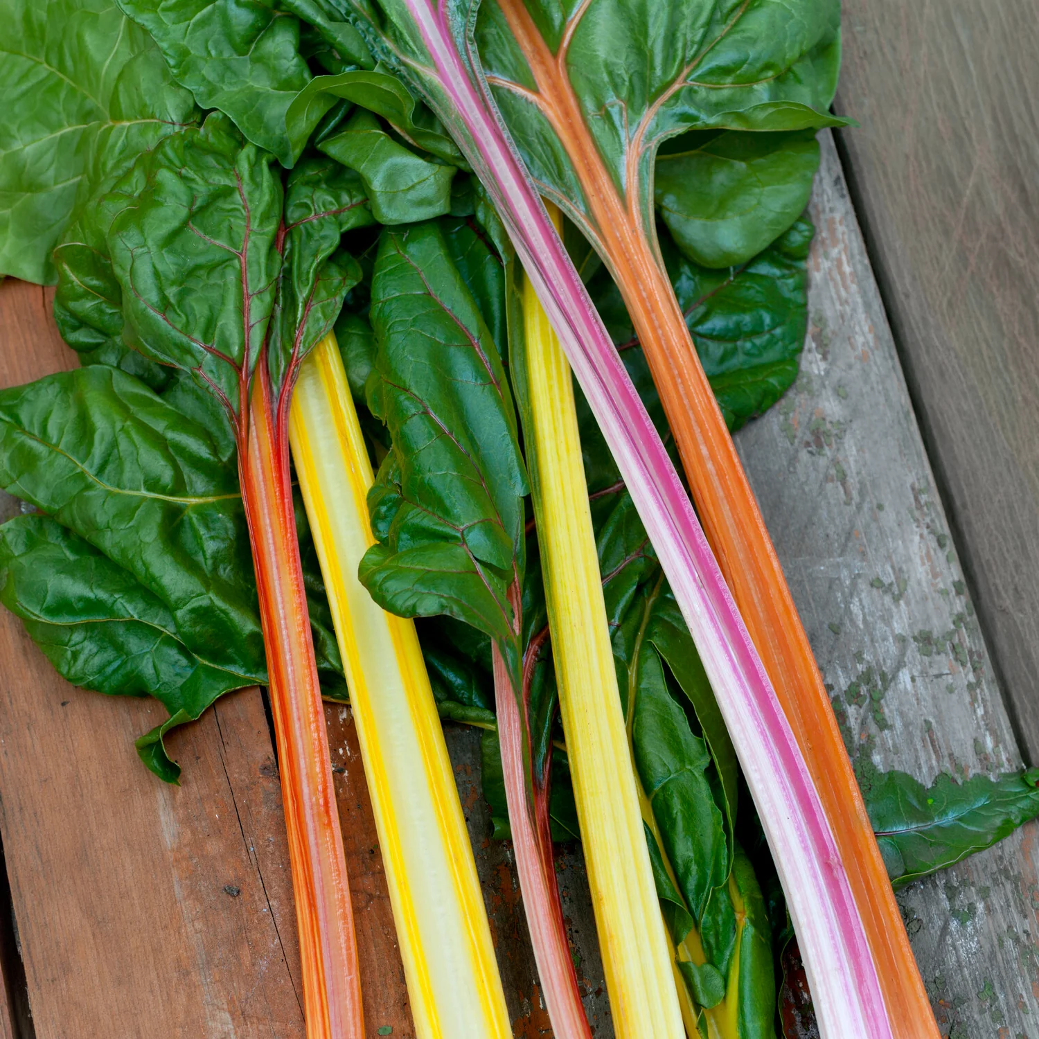 Produktbild 6