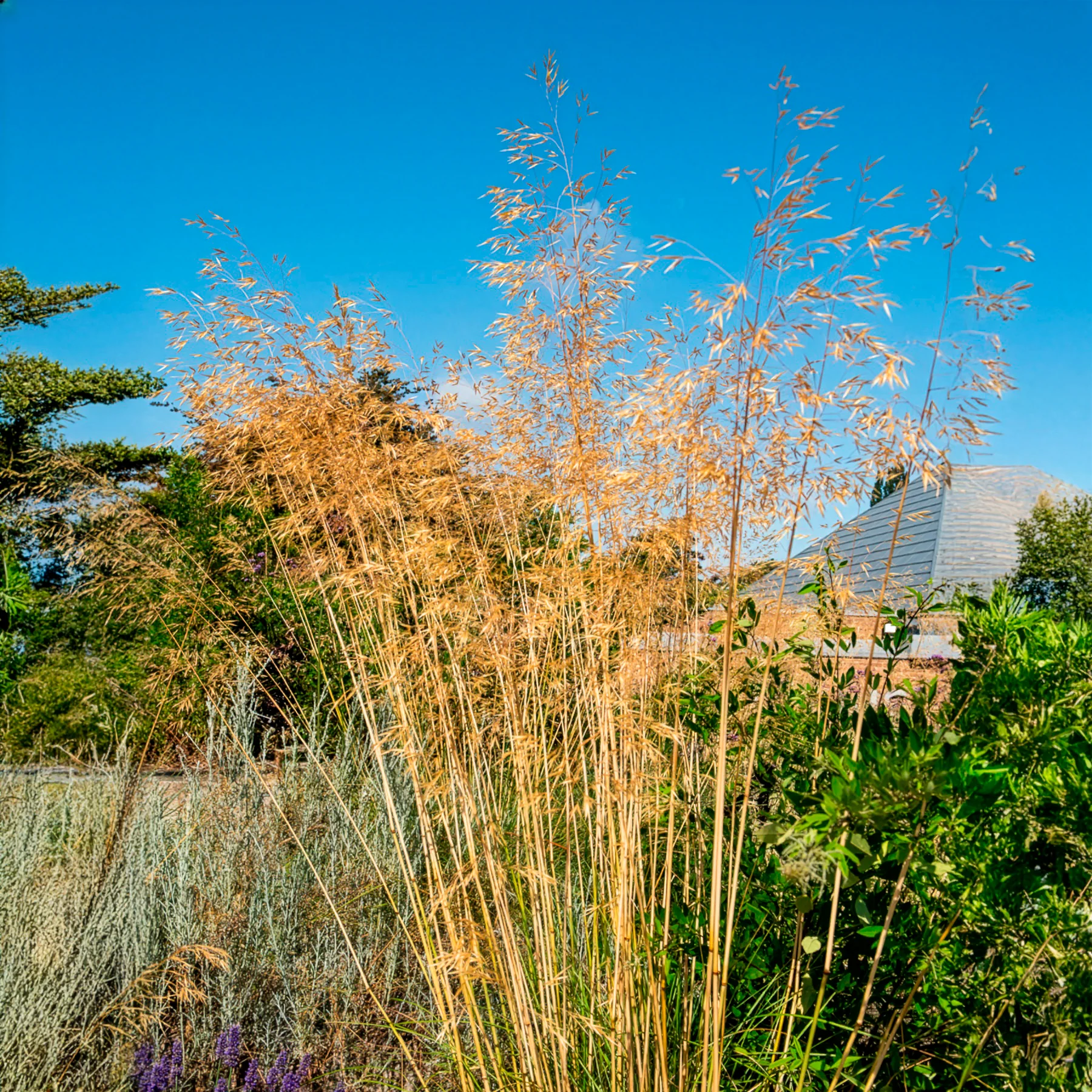 Produktbild 5