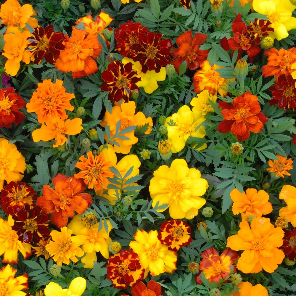 Produktbild 4